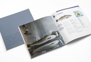 wow-cleanseas-kingfish-brochure