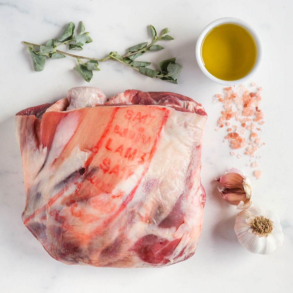 wow-bultarra-saltbush-thumbnail