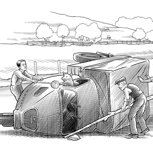 WOW-Web-Home-500x500-Barossa-26